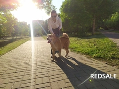 Выгул собачки, по кличке Фред
Прекрасные прогулки по набережной.